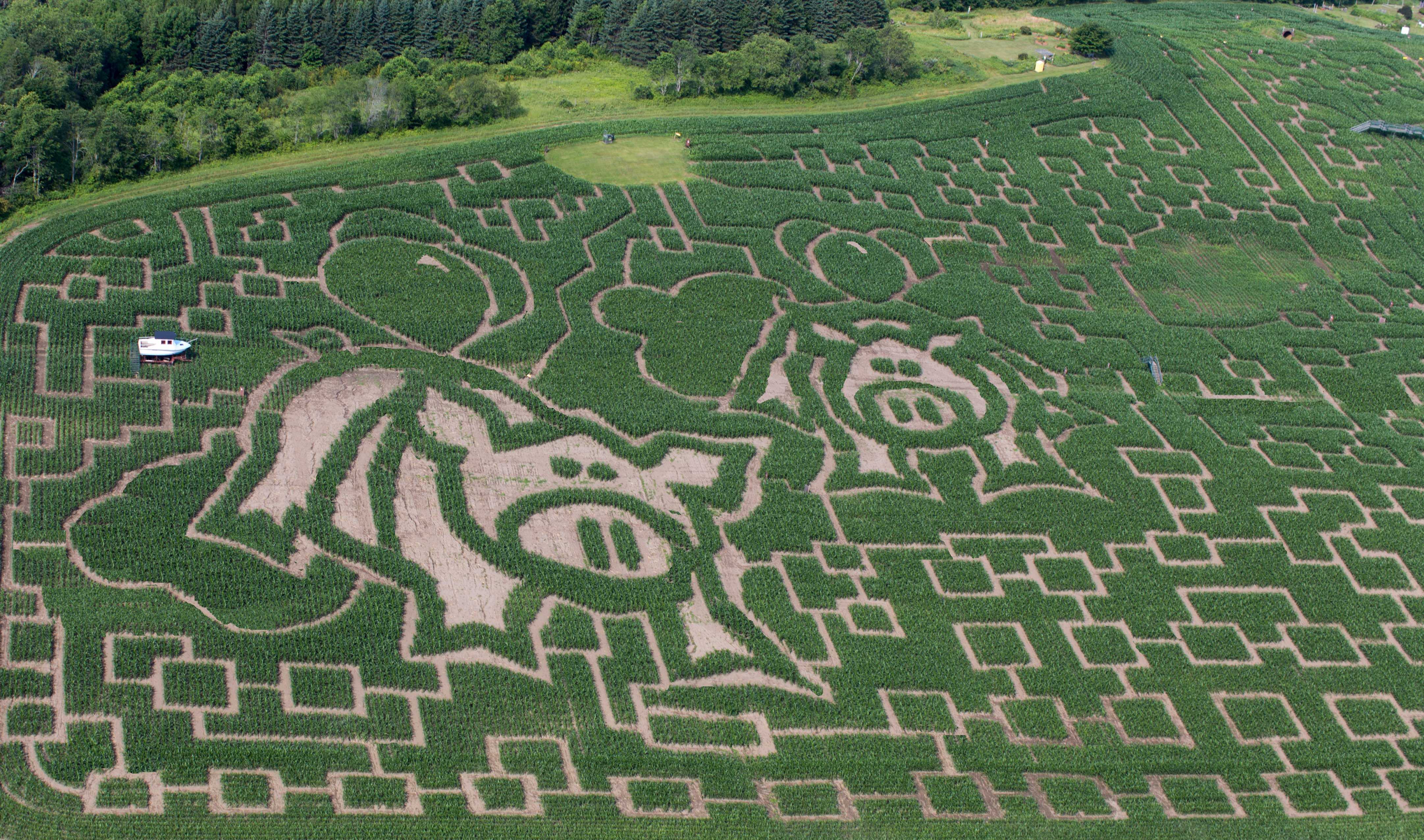 largest corn maze