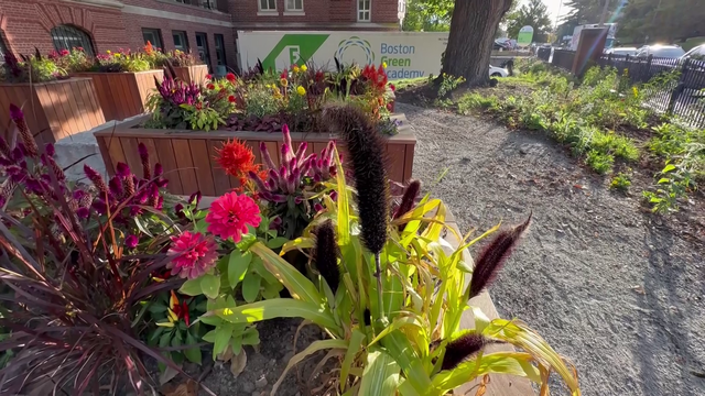 Boston Public Schools launch 10 new outdoor raised-bed garden, freight farm classrooms - Vimarsana News