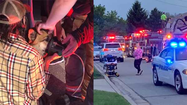 Indiana firefighters save family's pets in house fire