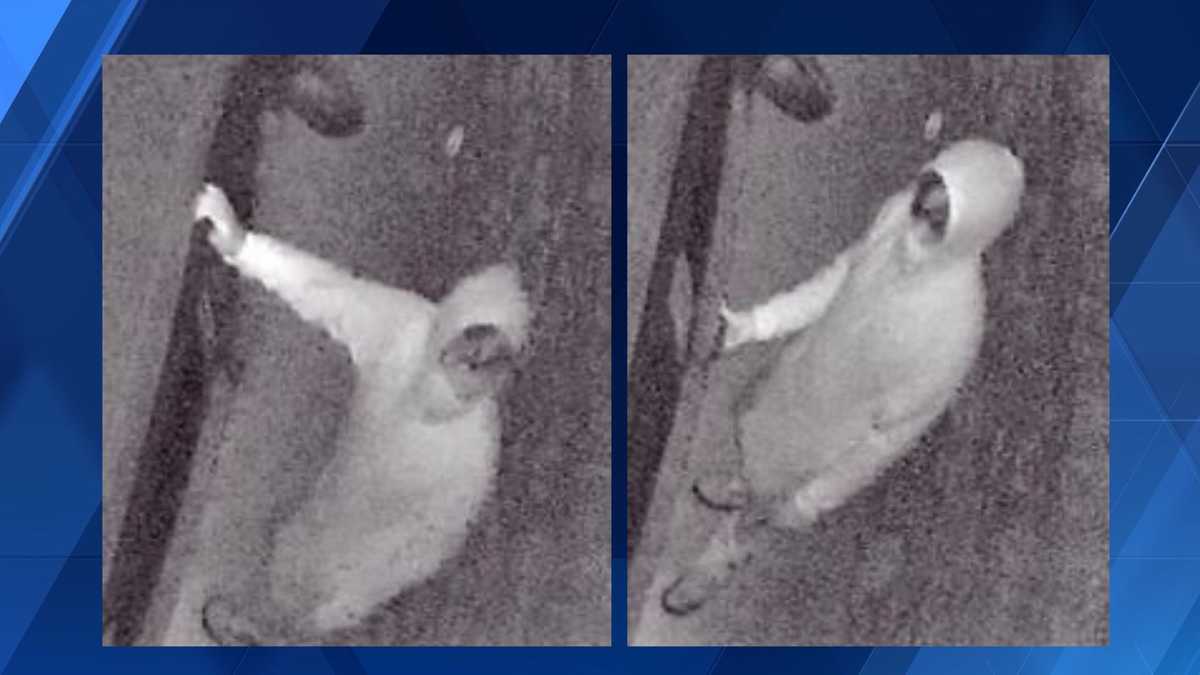 Greenhills police searching for suspect wanted in string of car thefts