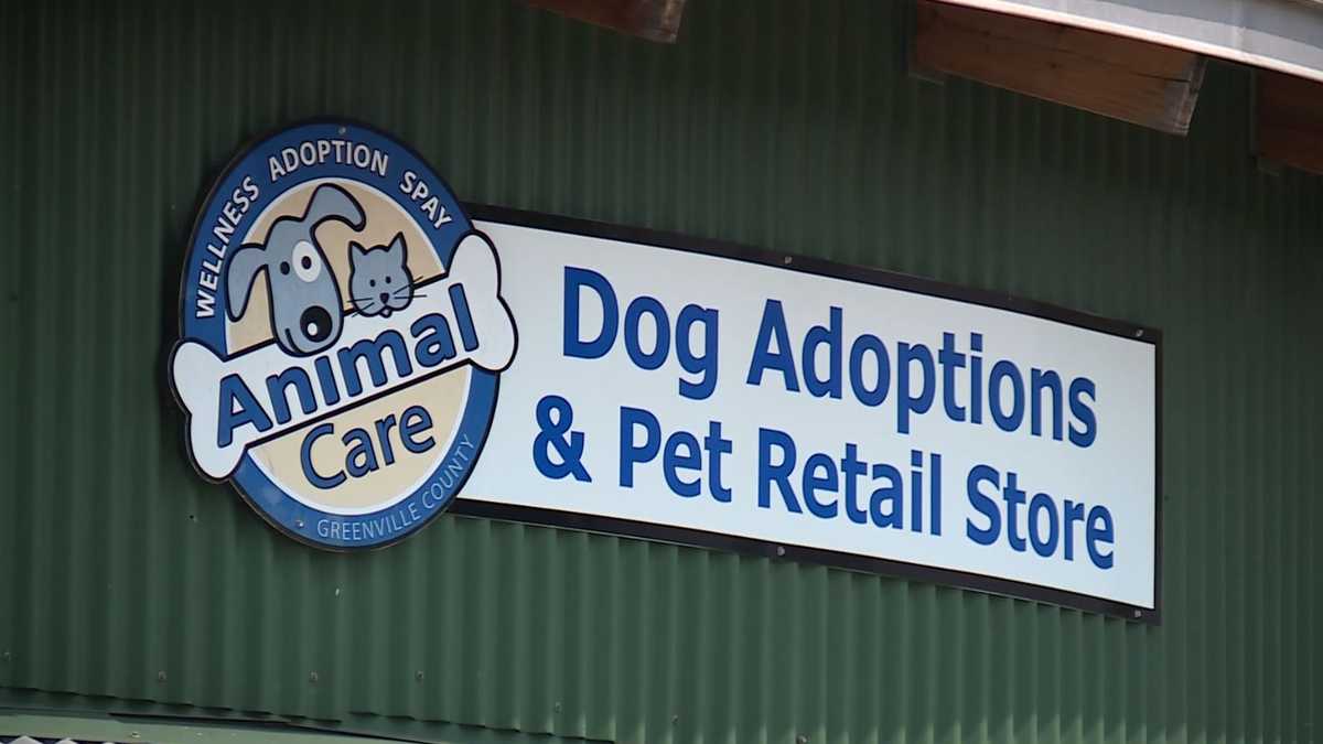 South Carolina shelters declare a state of emergency; launches