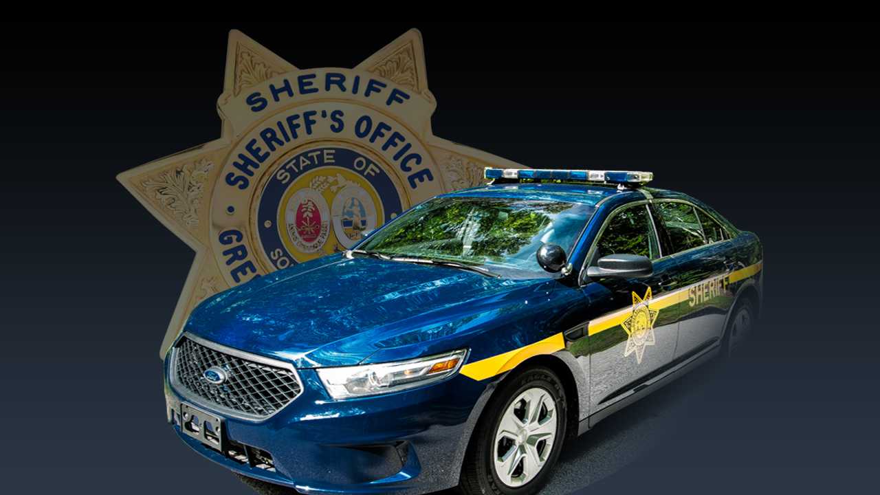 South Carolina: Deputies suspended after shooting during training - Vimarsana News