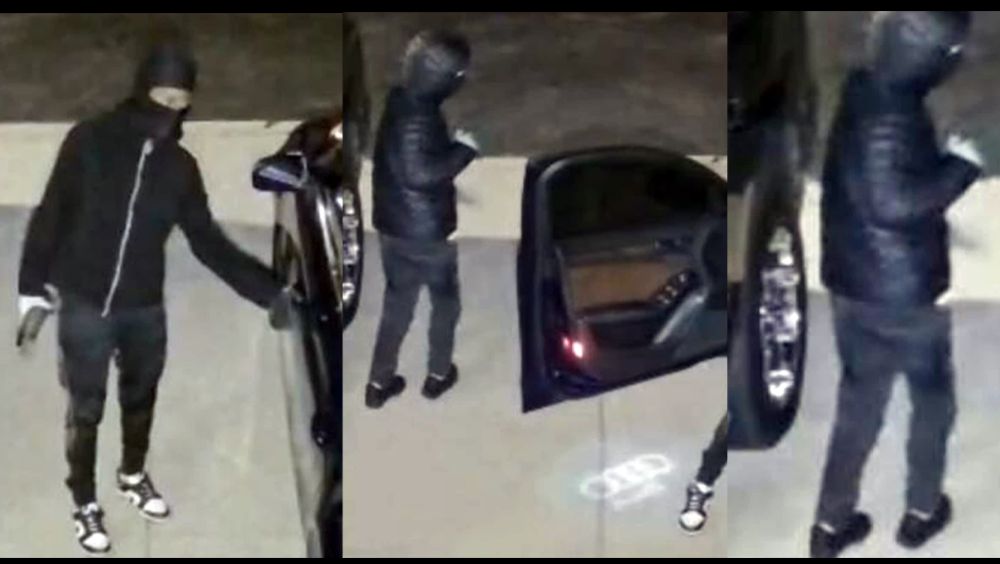 South Carolina: Police release photos in string of car break-ins