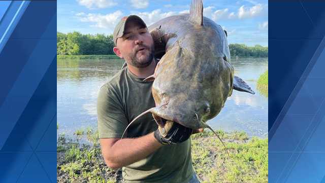 Man reels in 71-pound catfish