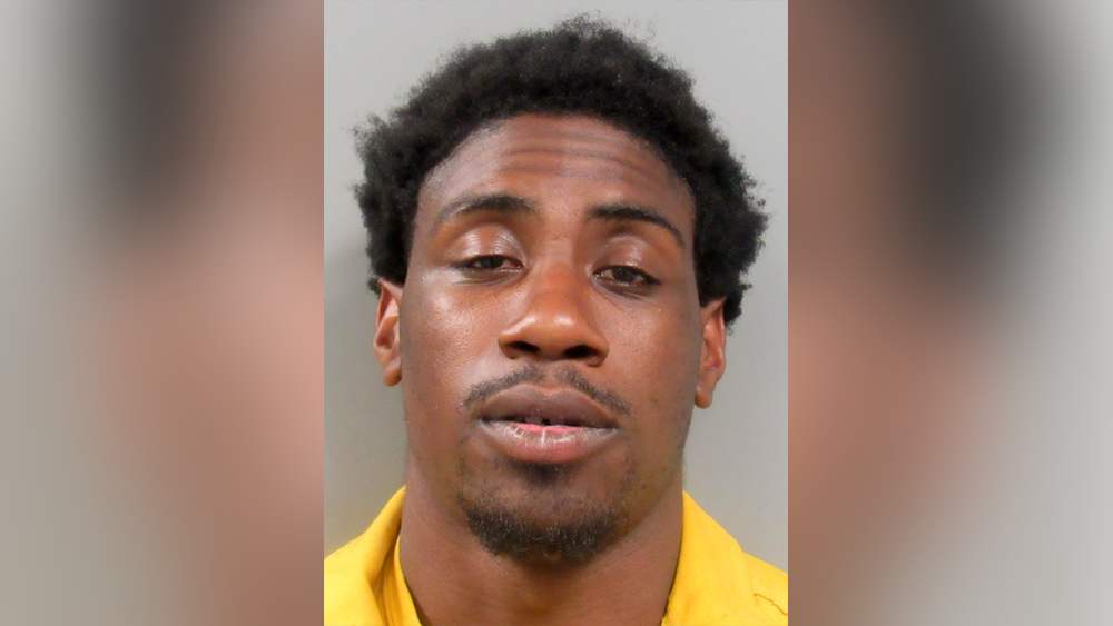 Stolen Vehicle Police Chase: Driver charged after pursuit on I-95 in Jasper County