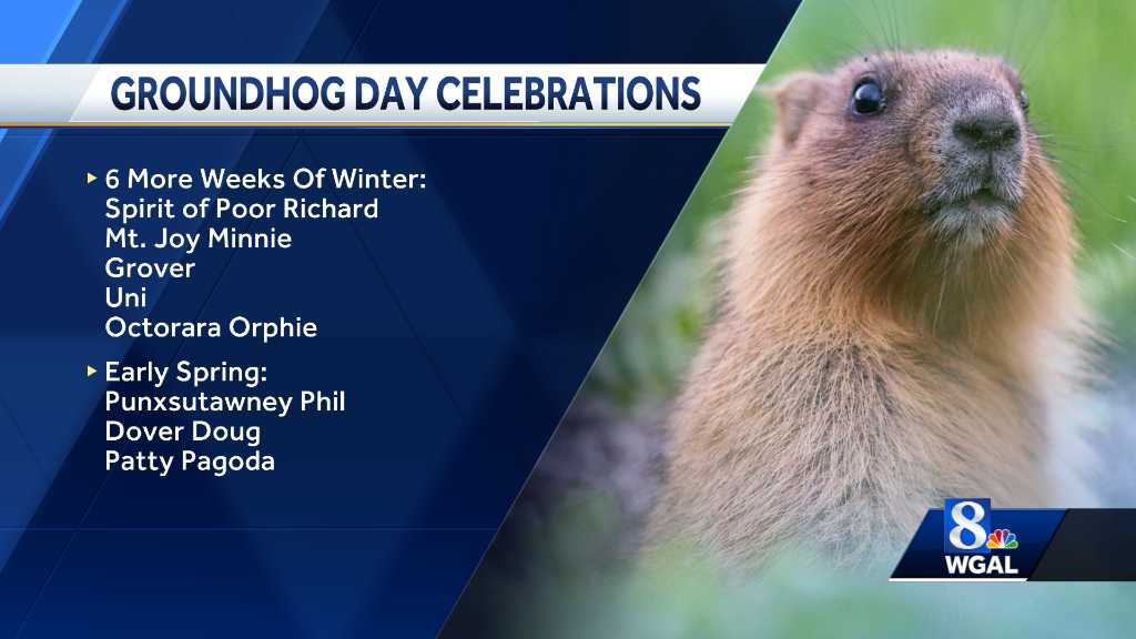 The Groundhogs Have Made Their Predictions