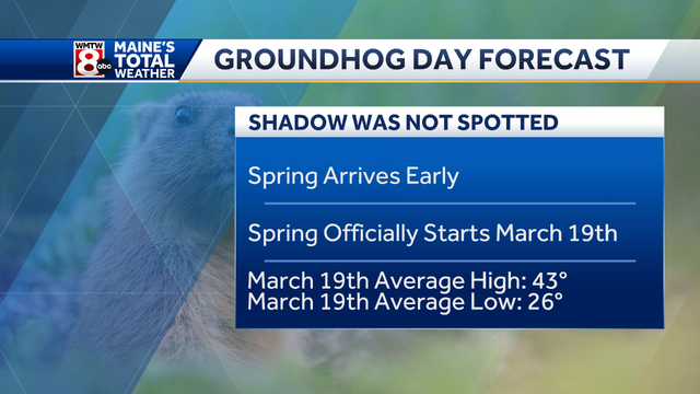Punxsutawney Phil says "early spring" but is he typically right? - Vimarsana News