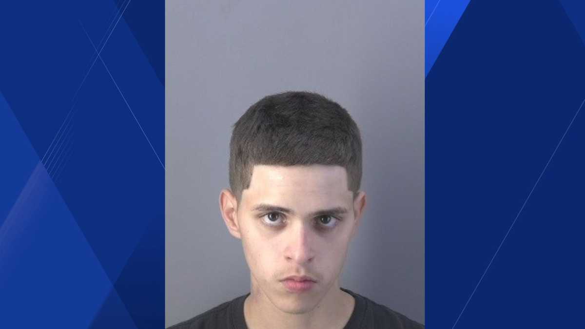 LaBelle man accused of going 95+ mph in stolen pickup truck, leading ...