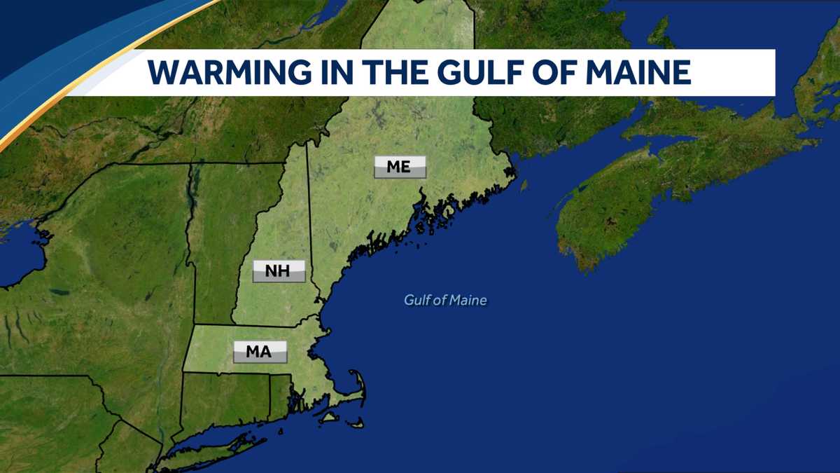 Gulf of Maine set new temperature record in 2021