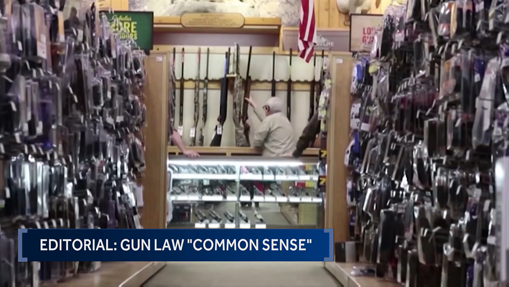 Notwithstanding the new law in Georgia, common sense should continue to be a priority for gun owners