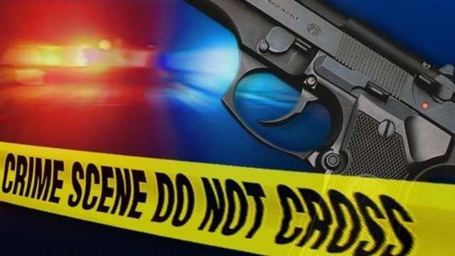 Georgia authorities search for suspect in mother, child shooting - Vimarsana News