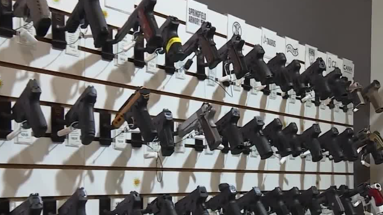 Safety advocates, city officials urge gun owners to secure guns for ...