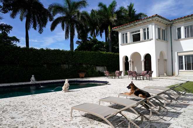 The German Shepherd Gunther VI is sitting by the pool in a formally owned house x20; by pop star Madonna, Monday, Nov.  15, 2021, in Miami.