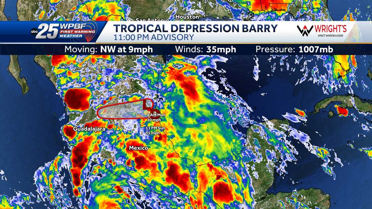Barry makes landfall as tropical depression on east coast of Mexico