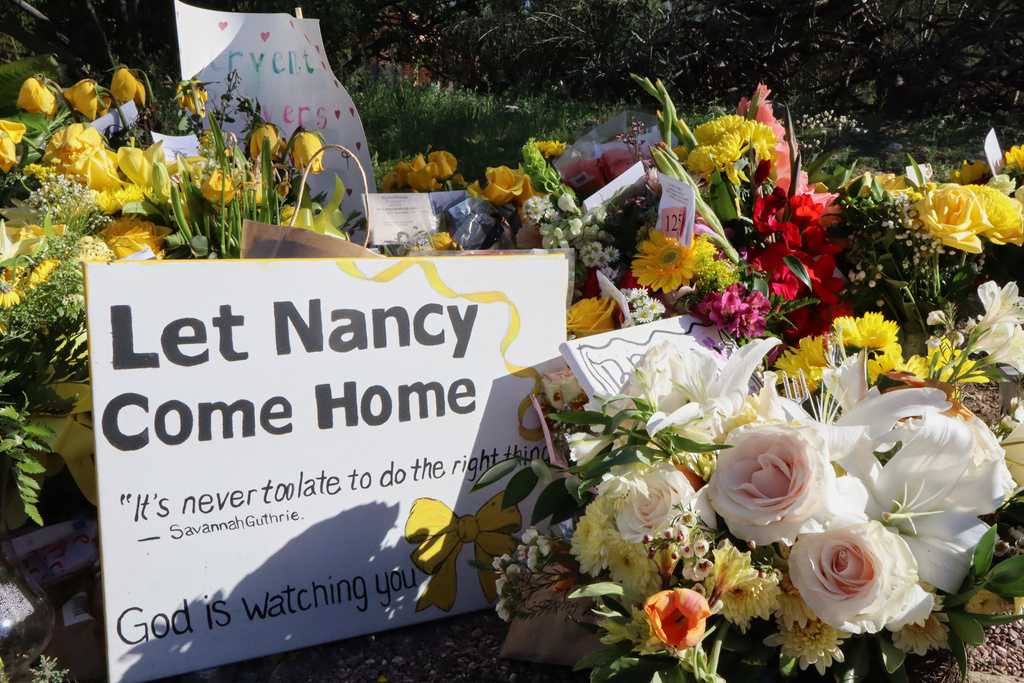 Volunteers scour the desert for Nancy Guthrie
