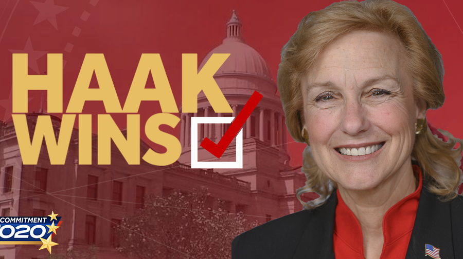 Delia Haak Wins District 91 Republican Primary