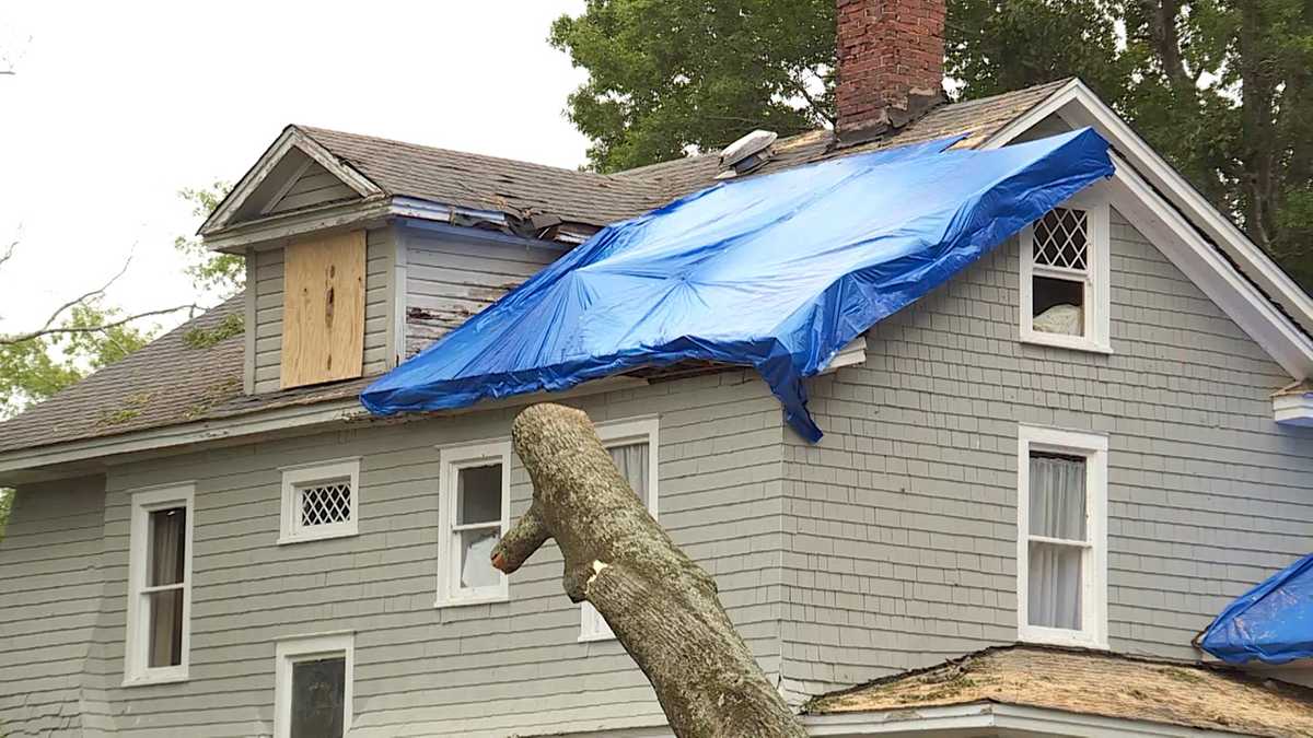 Strong storms, straightline winds knock down trees, cause power outages in Haleyville