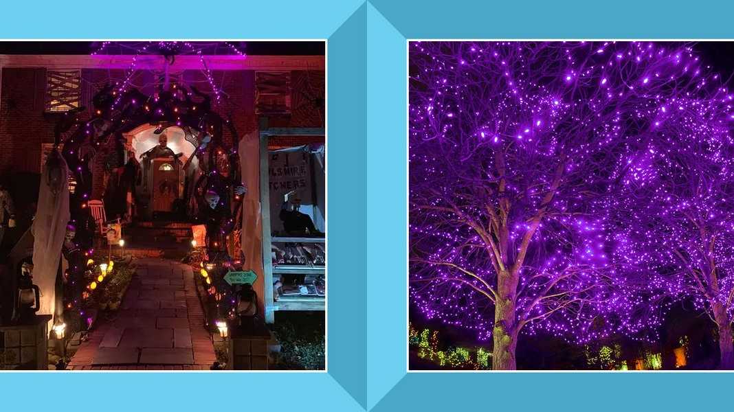 The best Halloween lights to give your house a festive glow - Vimarsana News