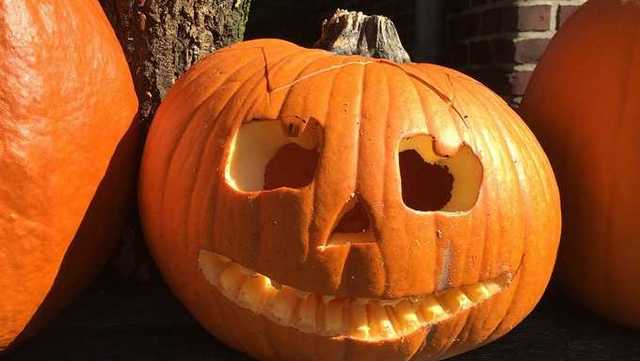 Trick-or-treat: Central Florida communities hosting events - Vimarsana News