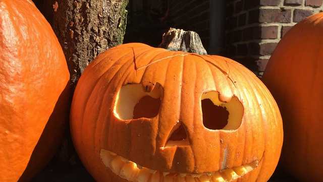 Halloween celebrations: Where to go trick-or-treating in Florida - Vimarsana News
