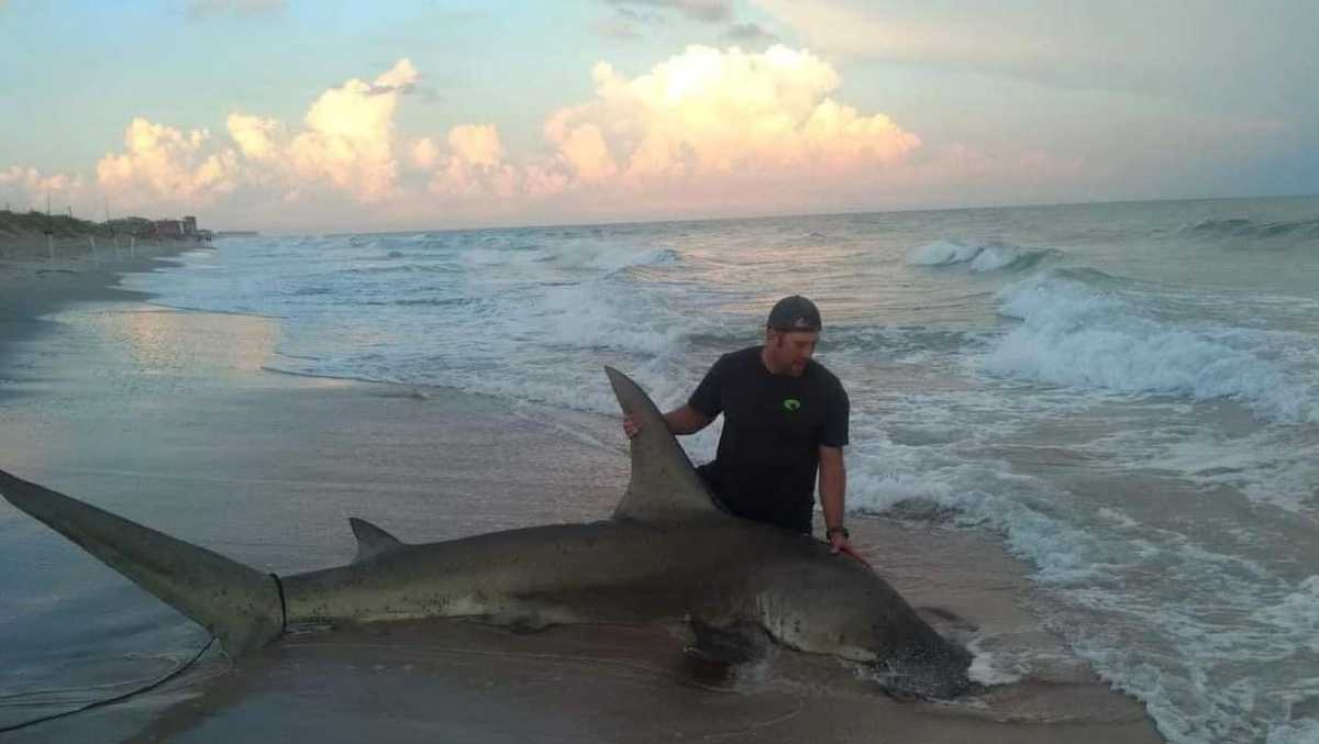 Shark Angler Lands 13-Foot Hammerhead from NC Beach