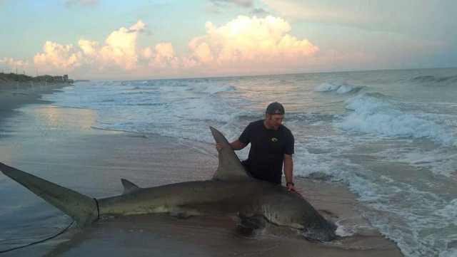 North Carolina EMT catches 13-foot hammerhead - Vimarsana News