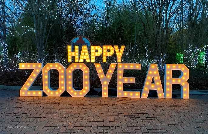 Cincinnati Zoo hosting family-friendly celebration for New Year's Eve