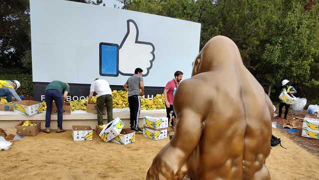 Statue of Harambe on the move, in front of Facebook headquarters - Vimarsana News
