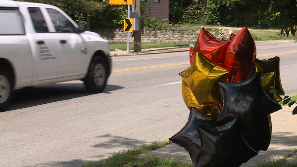 Members of Cincinnati's council moving to reduce Harrison Avenue's 4-lane footprint - Vimarsana News