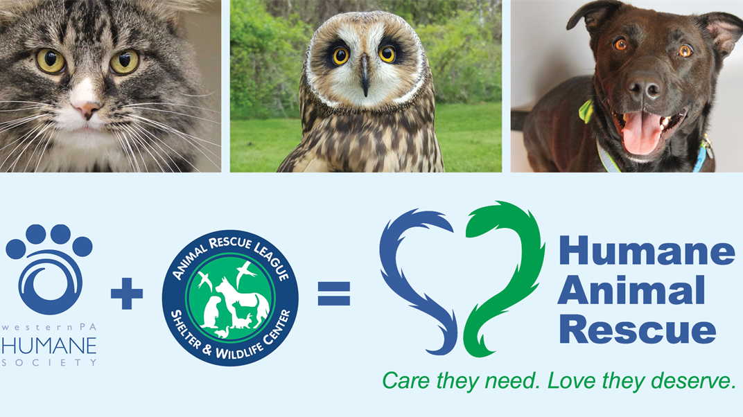 Animal Rescue League and Western Pa. Humane Society merge to form Humane Animal  Rescue