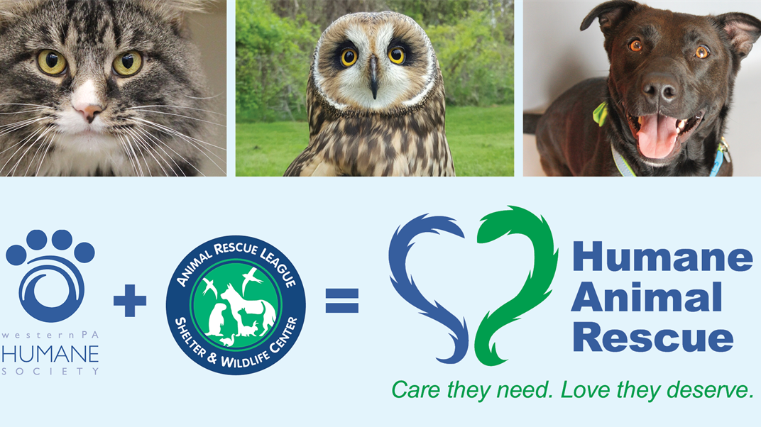 Animal Rescue League and Western Pa. Humane Society merge to form Humane Animal Rescue Animal Rescue League and Western Pa. Humane Society merge to form Humane Animal Rescue