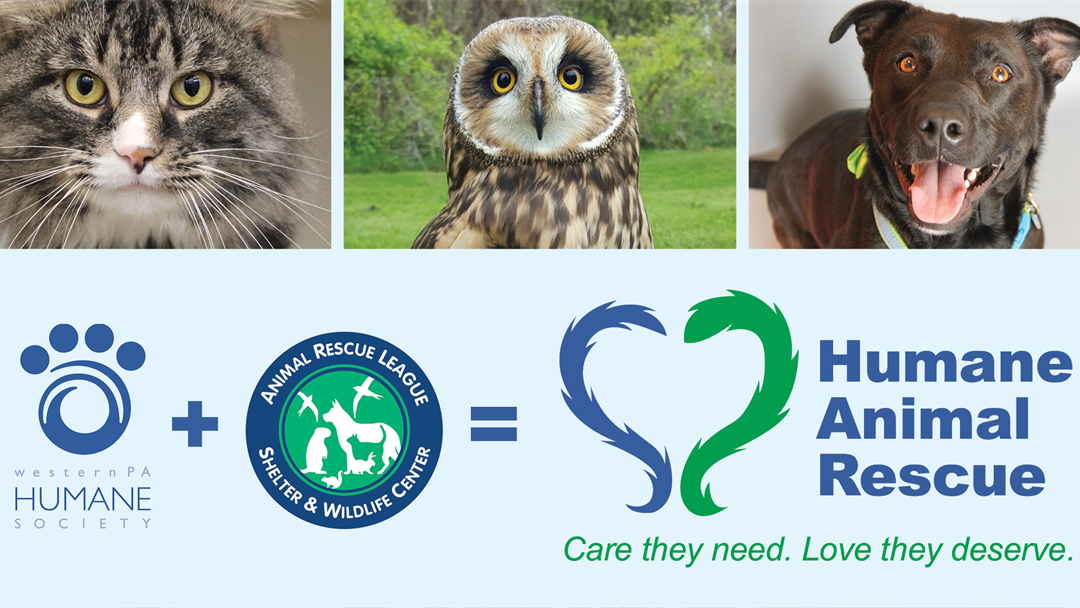 Animal Rescue League and Western Pa. Humane Society merge to form Humane  Animal Rescue