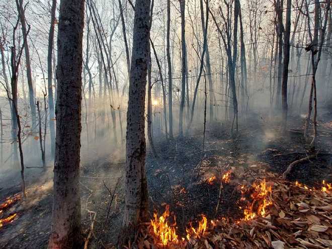 More Than A Dozen Agencies Respond To 18-acre Wildfire In Oxford County