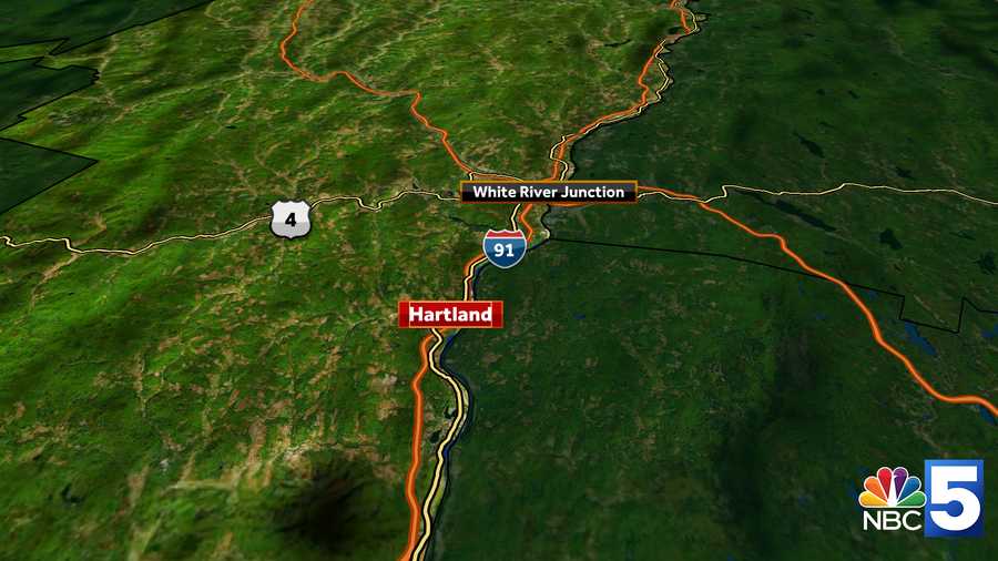 Man, 71, dies after being pinned under fallen tree