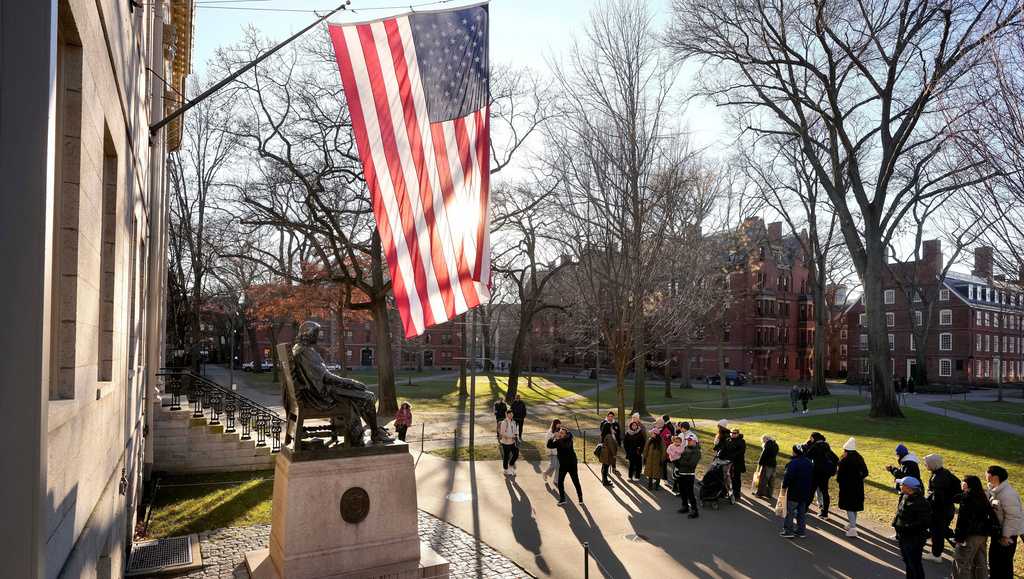 Pentagon says it's cutting ties with 'woke' Harvard