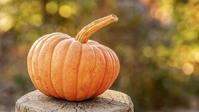 Royal Palm Beach Rock and Fall Festival in South Florida