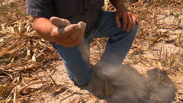 'Very serious': Nebraska drought update from Overton farmer - Vimarsana News