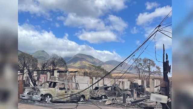 Maui wildfires impact: Florida couple loses family homes to fires - Vimarsana News