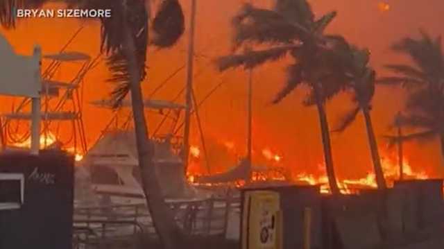 Missouri firefighters, canines to assist with response in Maui - Vimarsana News