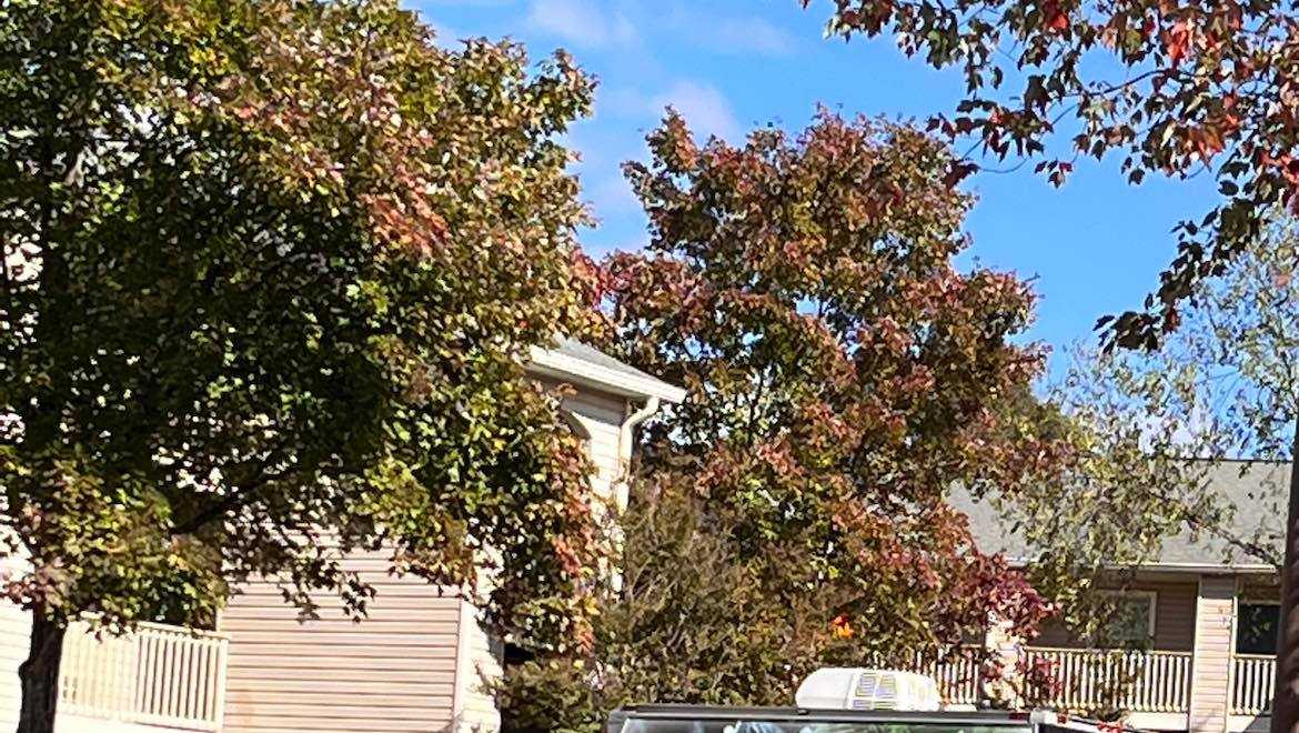Man charged with murder after woman found dead in apartment