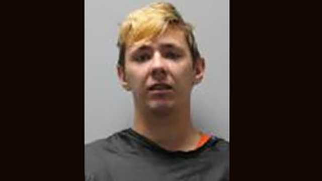 South Carolina: Man faces child sex crime charges - Vimarsana News
