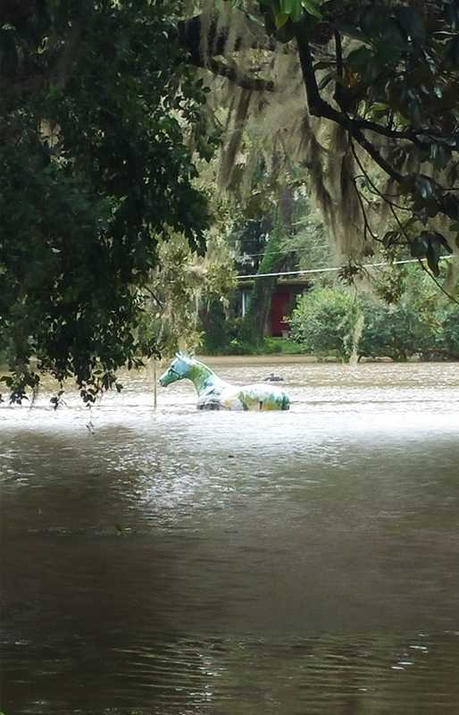 Central Florida viewers capture incredible photos of Hurricane Irma aftermath
