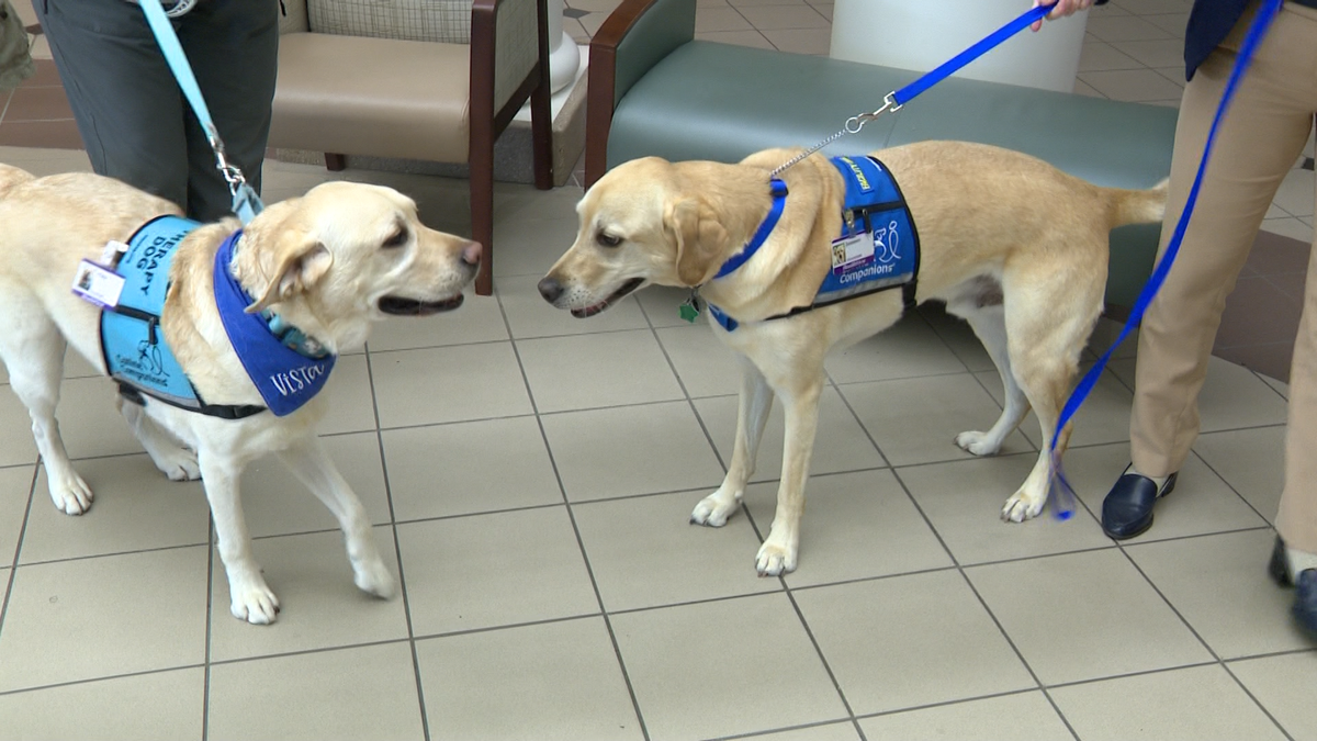 Man’s best friend eases stress at Health First hospitals