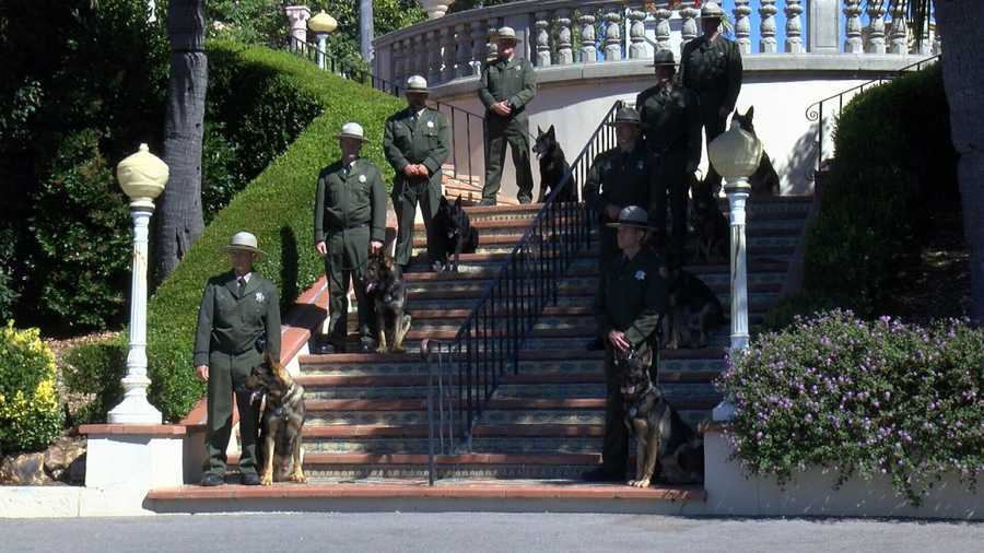 At the steps of the Hearst Castle, eight officers sat next to their partners with badges on their chest and their tongues hanging out to the side.