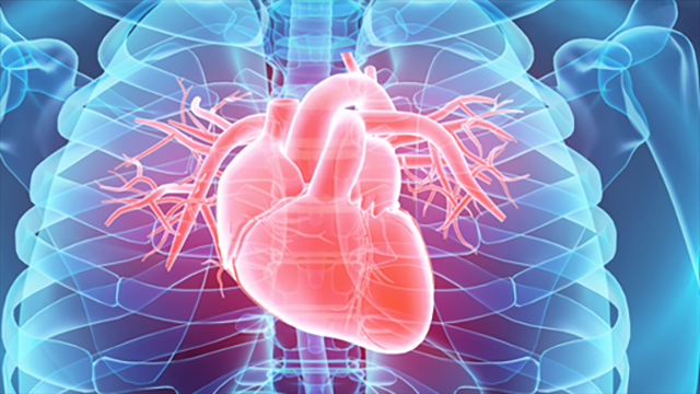 Medical expert discusses cardiac arrests in athletes - Vimarsana News