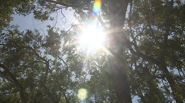 Record heat sending more people to the emergency rooms - Vimarsana News