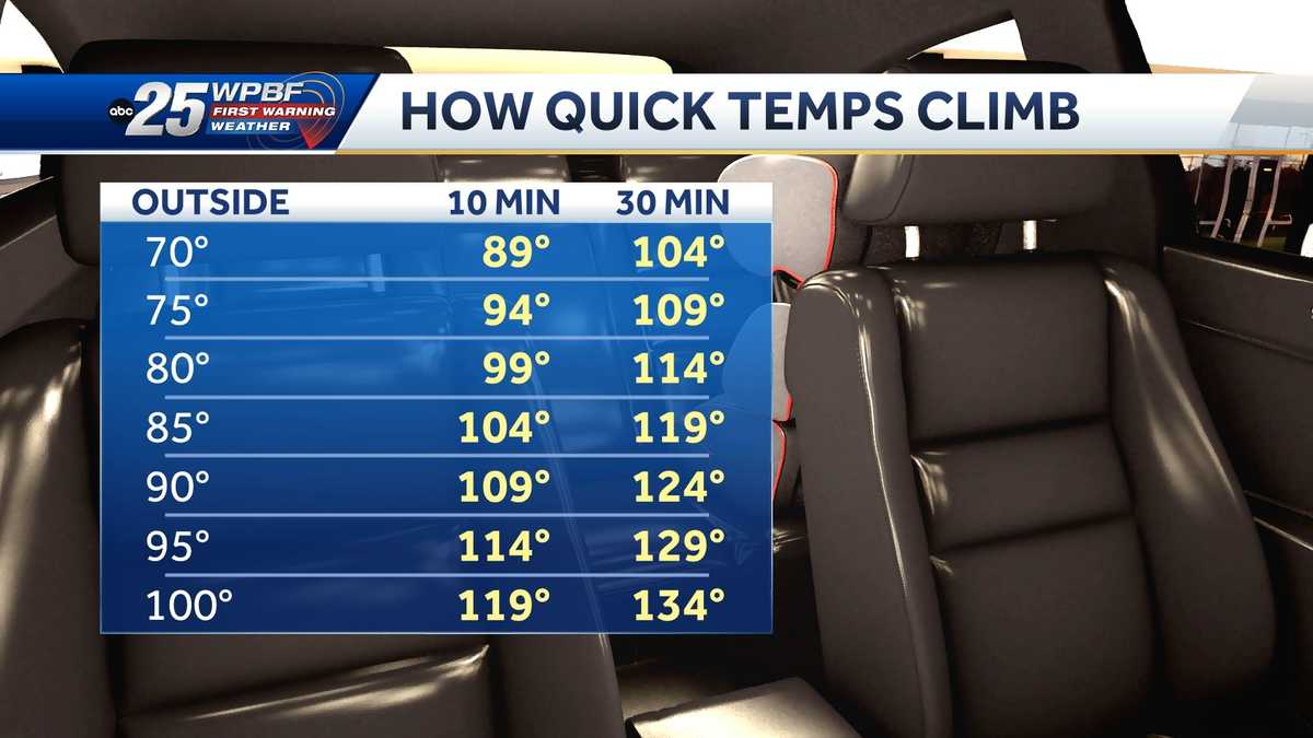 Stay cool and safe for the hot week ahead