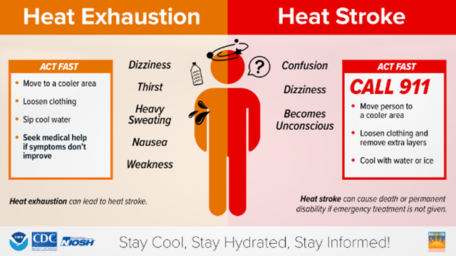 North Carolina Heat Safety: What to know about heat stroke, heat exhaustion, Rhabdomyolysis - Vimarsana News