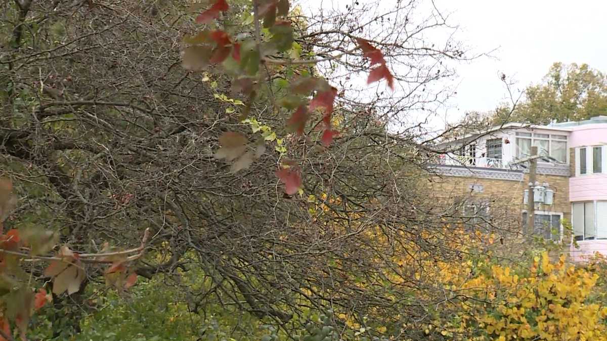 Home heating costs expected to rise this winter