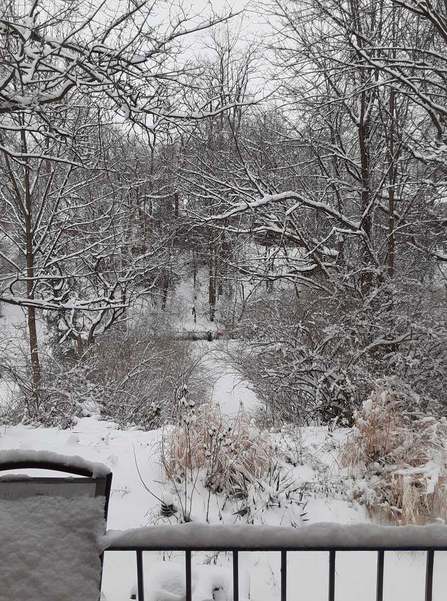 PHOTOS Up to 10 inches of snow blankets Cincinnati, Northern Kentucky